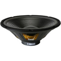 Main product image for GRS 12PF-8 12" Paper Cone Foam Surround Woofer 292-412
